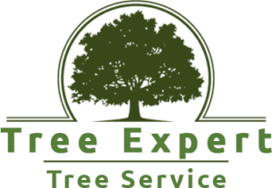 Tree Service in Johnstown, PA | Tree Expert Tree Service